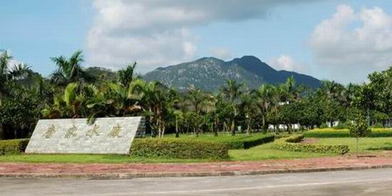 复件 唐家水厂2.jpg