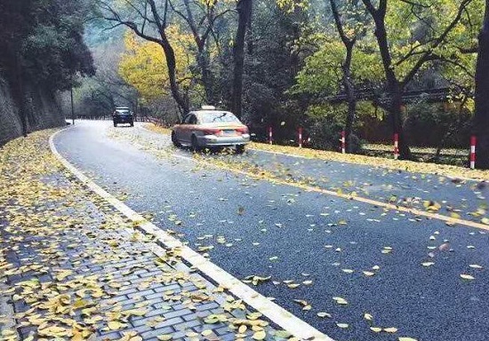 梅灵北路.jpg