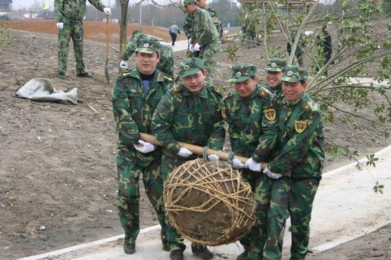 复件 植树造林.jpg