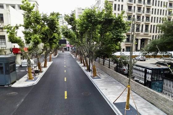 1527149378779176.jpg 3.jpg