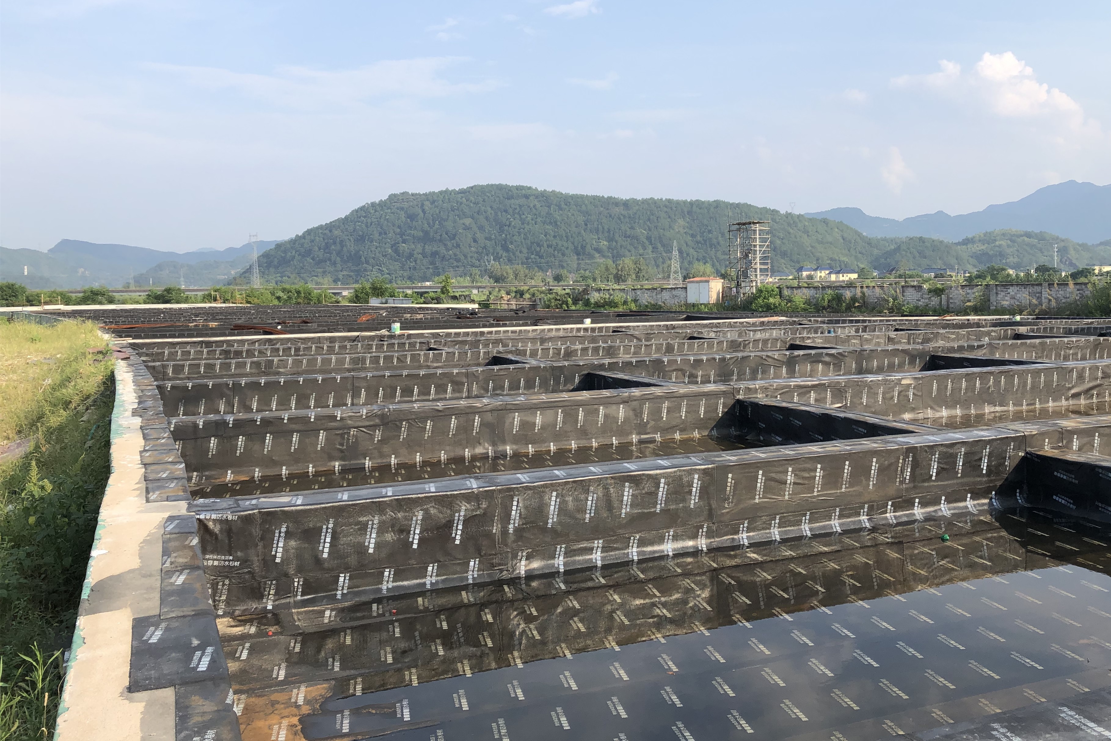 1567063299132623.jpg 1567063299132623.jpg